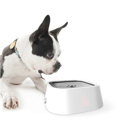 Gamelle Pour Chien Anti-Débordement