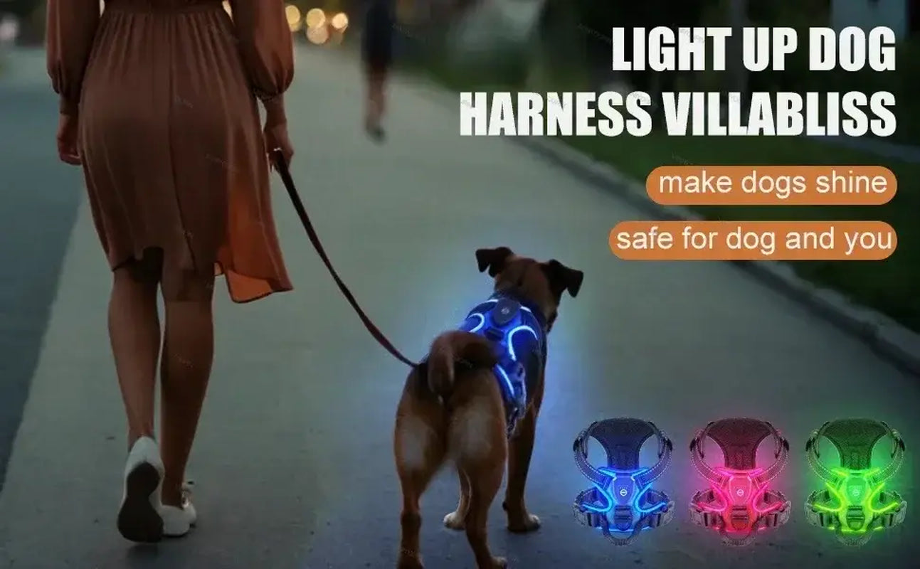 Harnais Lumineux LED Pour Chiens