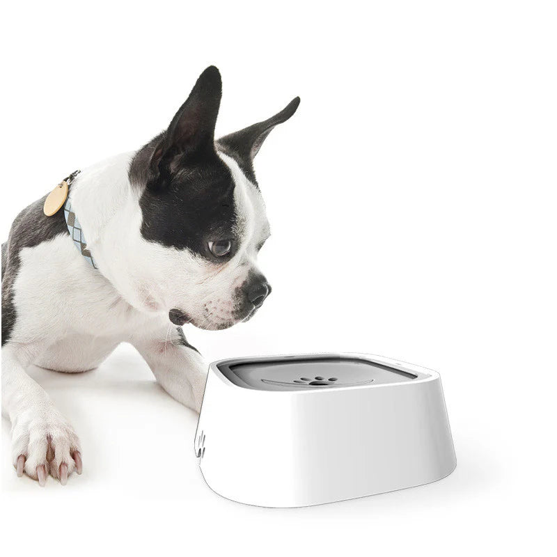 Gamelle Pour Chien Anti-Débordement