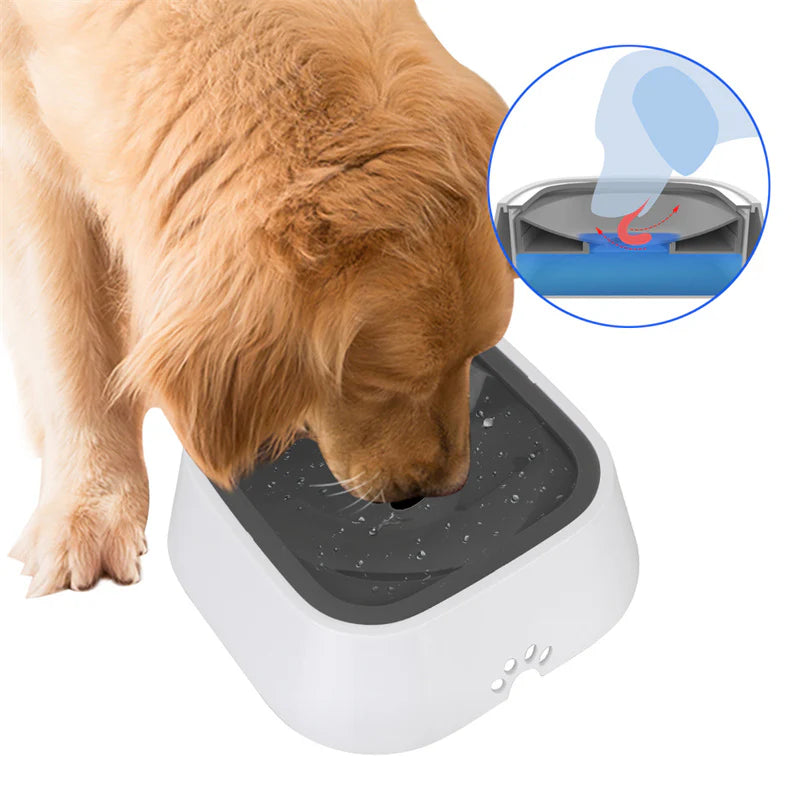 Gamelle Pour Chien Anti-Débordement