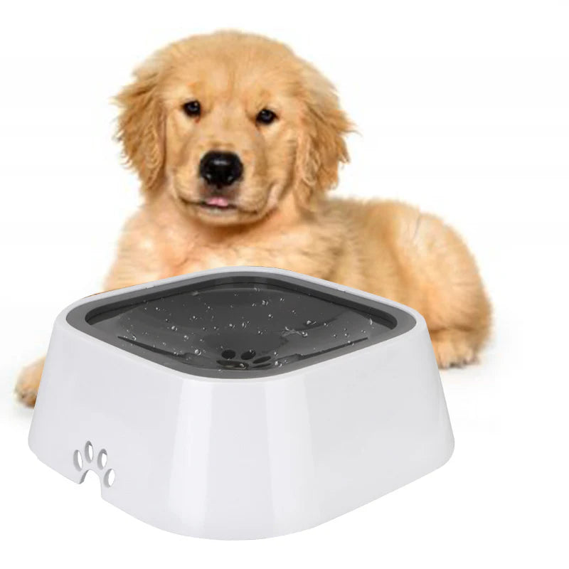 Gamelle Pour Chien Anti-Débordement