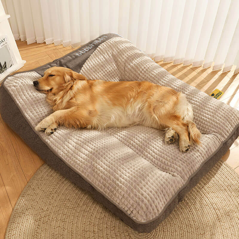 Grand coussin pour chien  doux  épais et résistant aux rayures