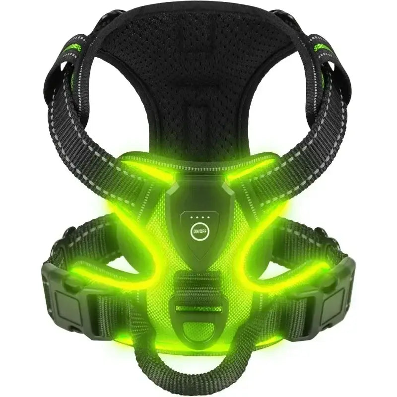 Harnais Lumineux LED Pour Chiens