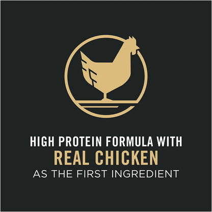 Nourriture Pour Chiens Riche En Protéines Avec Probiotiques Pour Chiens Formule Poulet Et Riz Râpé